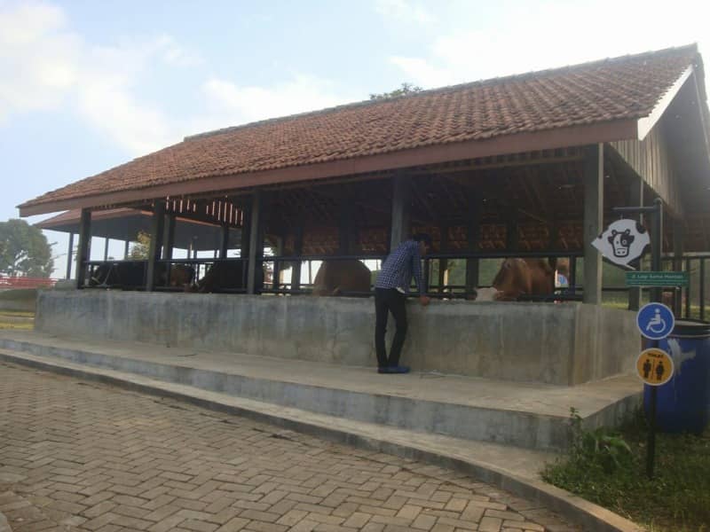 caping park baturaden