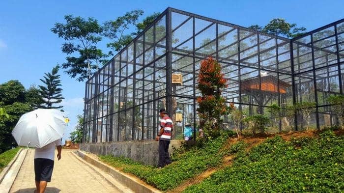 caping park baturaden