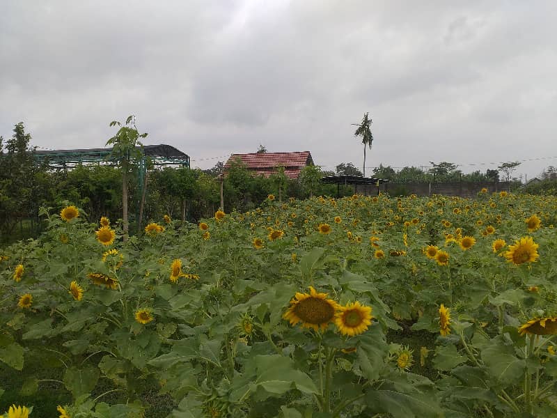 wisata di kediri