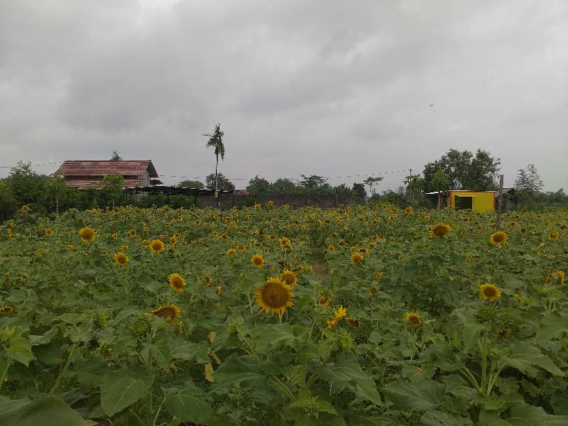 wisata di kediri