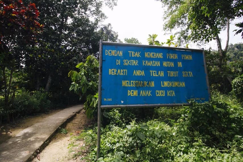 air terjun saluopa